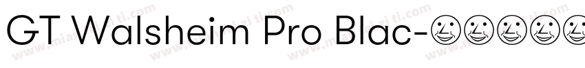 GT Walsheim Pro Blac字体转换